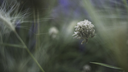 Similar image 22458851