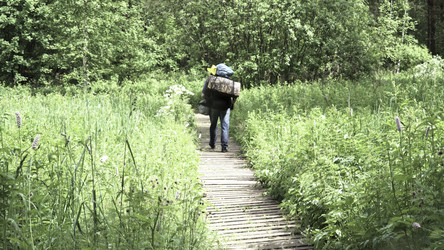 Similar image 22459554