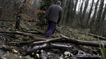 Similar image 22459555