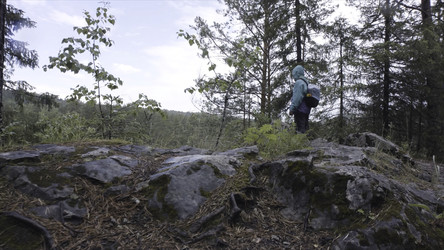 Similar image 22460196