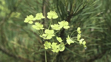 Similar image 22461904