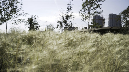 Similar image 22461949