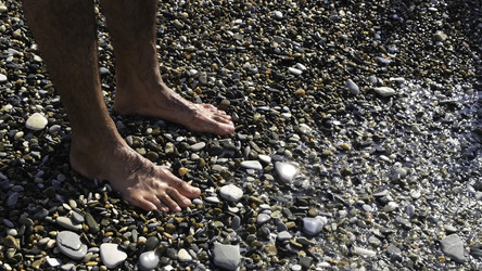 Similar image 22461964