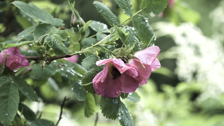 Similar image 22462158