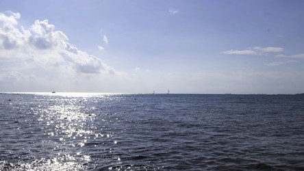 Similar image 22462187