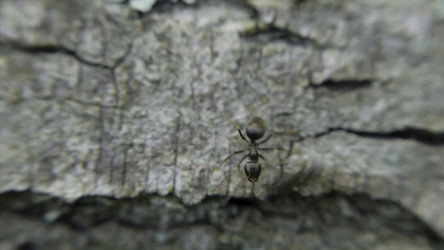 Similar image 22462292