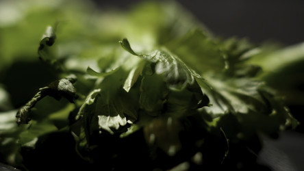 Similar image 22458899