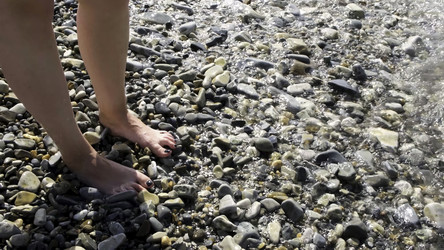 Similar image 22459512