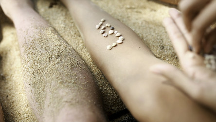 Similar image 22460033