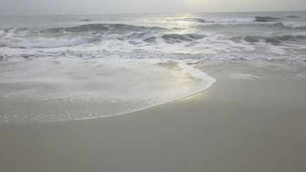 Similar image 22460049