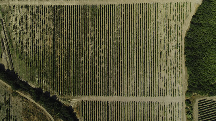 Similar image 22460170