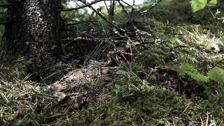 Similar image 22461873