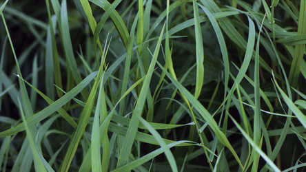 Similar image 22459945