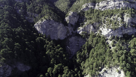 Similar image 22459962