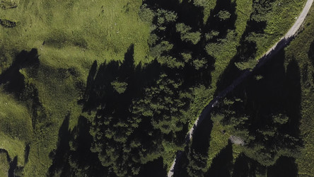 Similar image 22460066