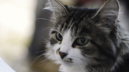 Similar image 22460139