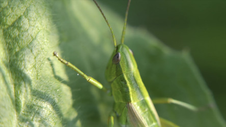 Similar image 22460171