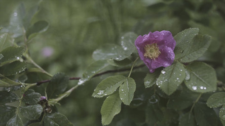 Similar image 22460185