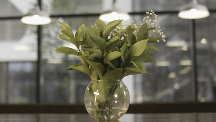 Similar image 22461874