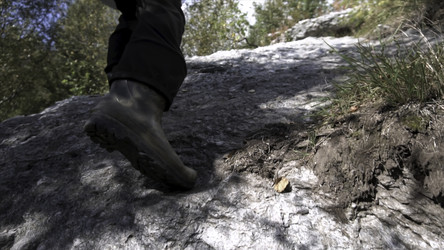 Similar image 22461965