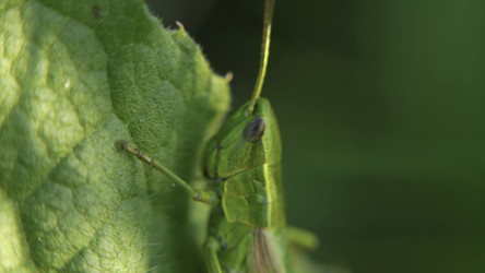 Similar image 22462160