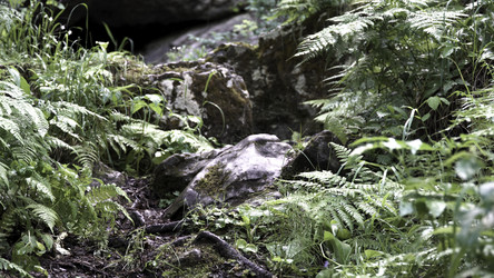 Similar image 22462862