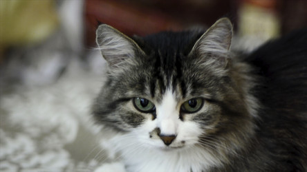 Similar image 22463116