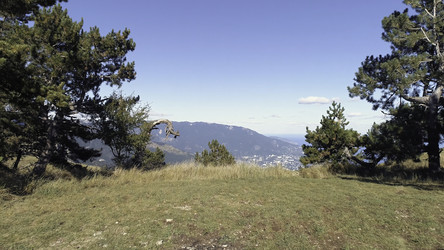 Similar image 22463460