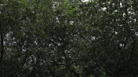 Similar image 22458271