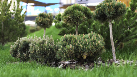 Similar image 22458854