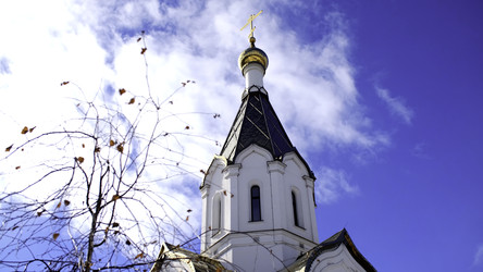 Similar image 22458902