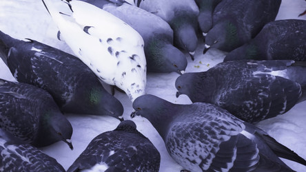 Similar image 22463613