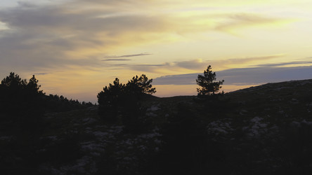 Similar image 22463734