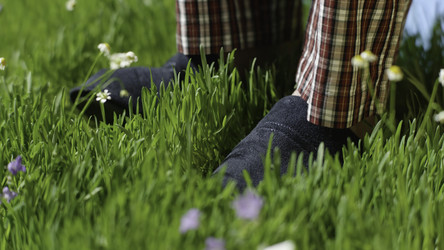 Similar image 22463931