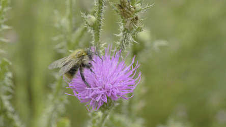 Similar image 22463955