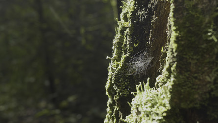 Similar image 22463986