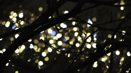 Similar image 22462923