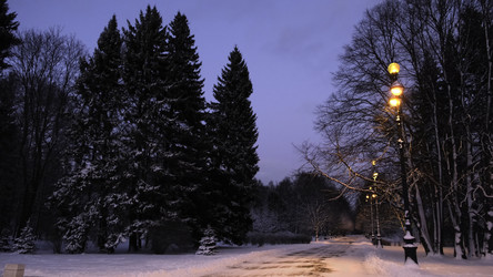 Similar image 22462939