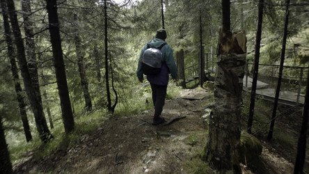 Similar image 22459546