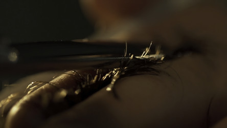 Similar image 22460023