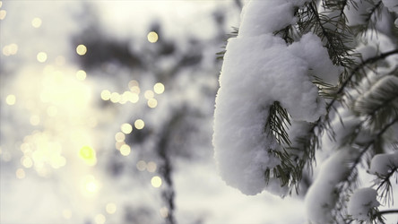 Similar image 22460114