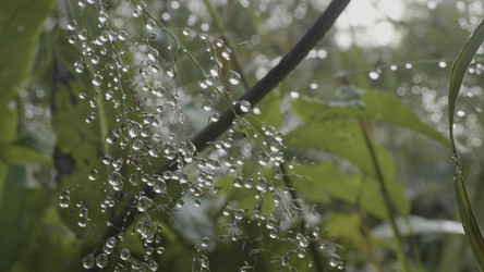 Similar image 22461934