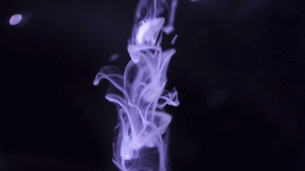 Similar image 22463716