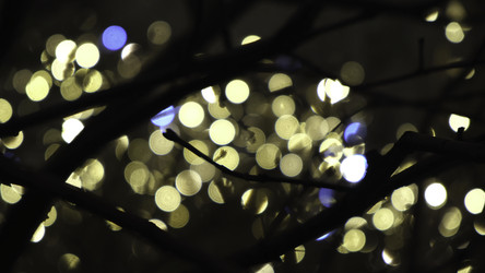 Similar image 22463747