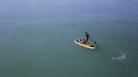 Similar image 22459588