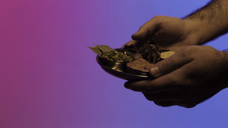 Similar image 22459903