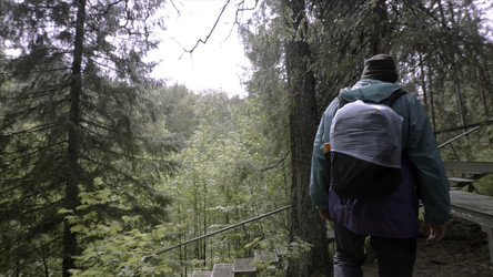 Similar image 22459934