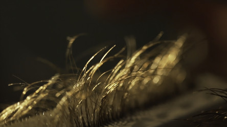 Similar image 22460127