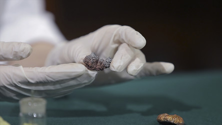 Similar image 22463479