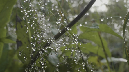 Similar image 22463553